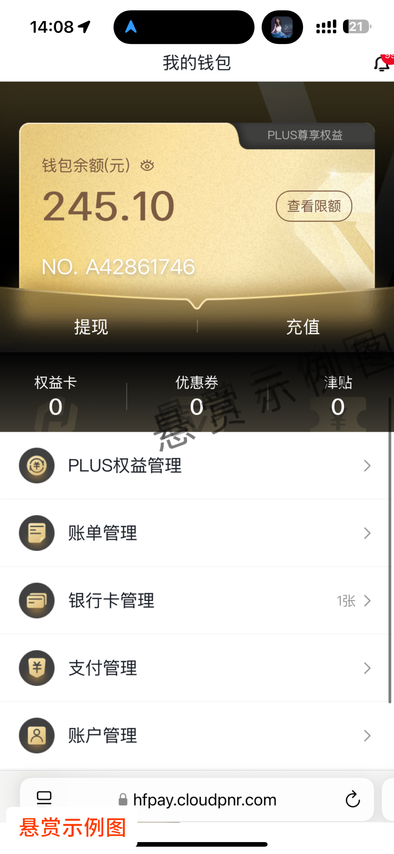 步骤3：开通钱包后截个图，付款2元